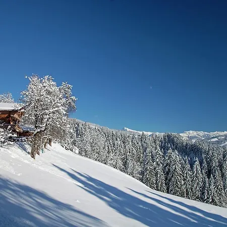 Farnreit Brixen im Thale