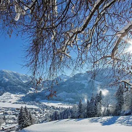 Farnreit Brixen im Thale
